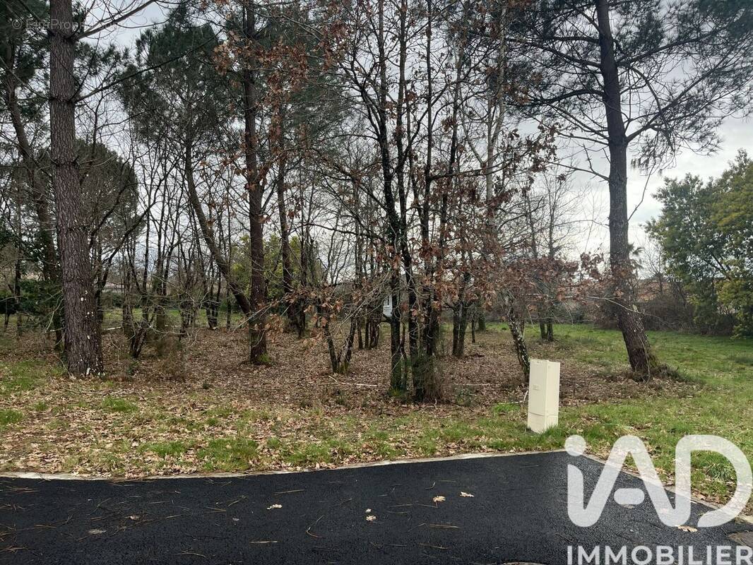 Photo 1 - Terrain à GUJAN-MESTRAS