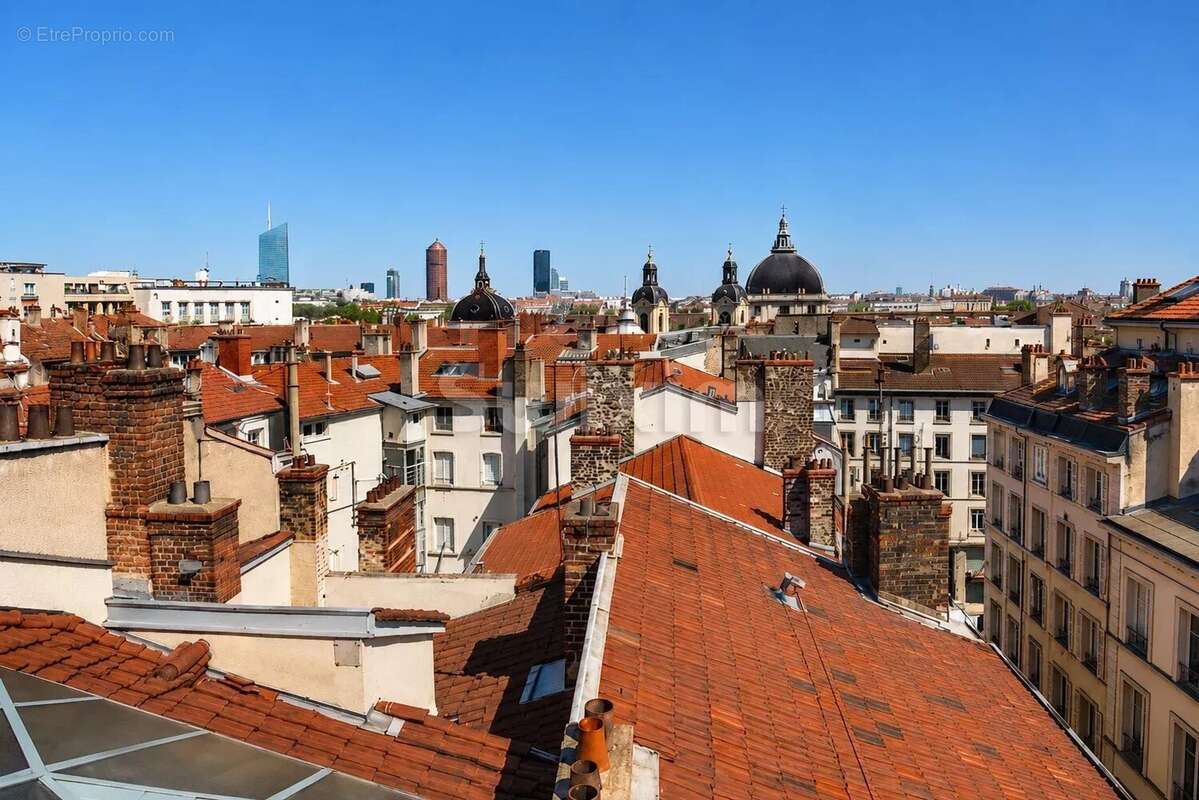 Lyon 2 - appartement t2 sur les toits - photo 7
