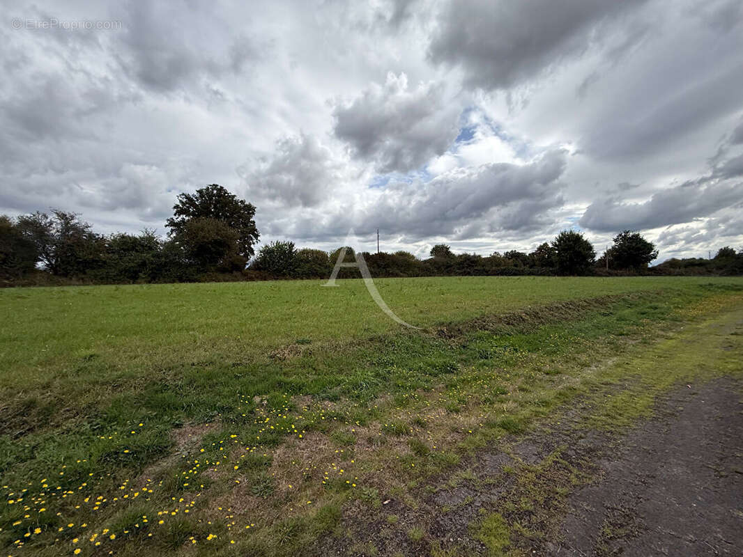 Terrain à MARIGNE-PEUTON