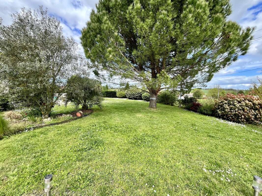 Maison spacieuse de 3 chambres avec jardin et piscine - photo 6