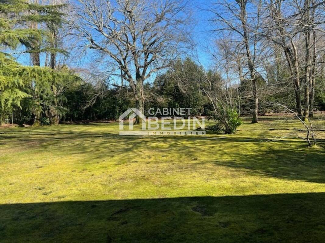 Terrain à BISCARROSSE