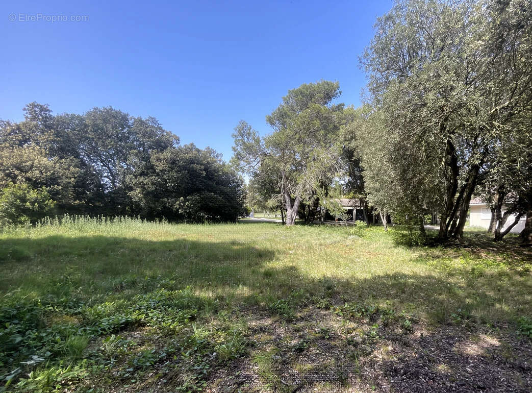 Terrain à CARCASSONNE