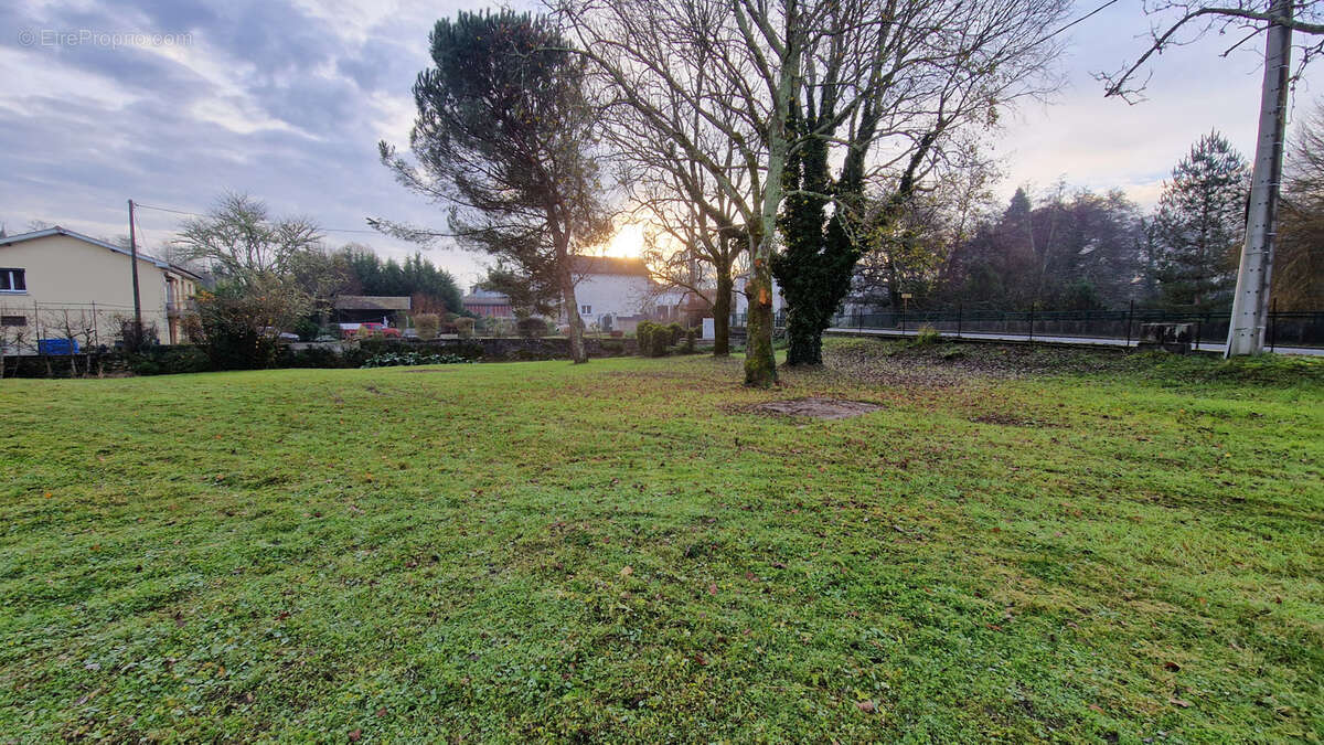 Terrain à SAINT-SYMPHORIEN
