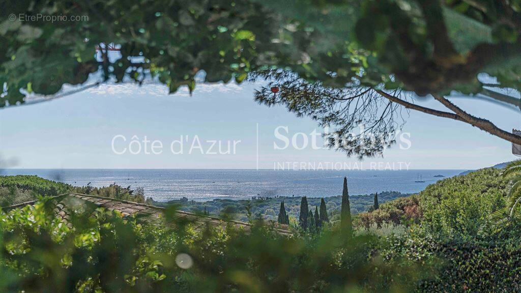 Maison à SAINT-TROPEZ