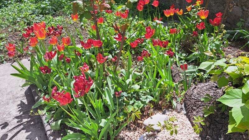 Maison à DIGNE-LES-BAINS