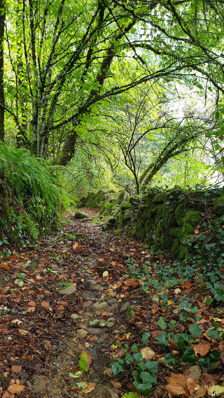 Maison à SAINT-MARTIN-LA-MEANNE