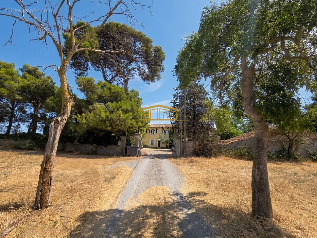 Maison à VILLENEUVE-LES-MAGUELONE