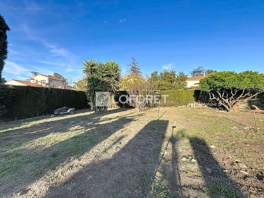 Terrain à SAINT-FELIU-D'AMONT