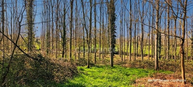 Terrain à PANCE