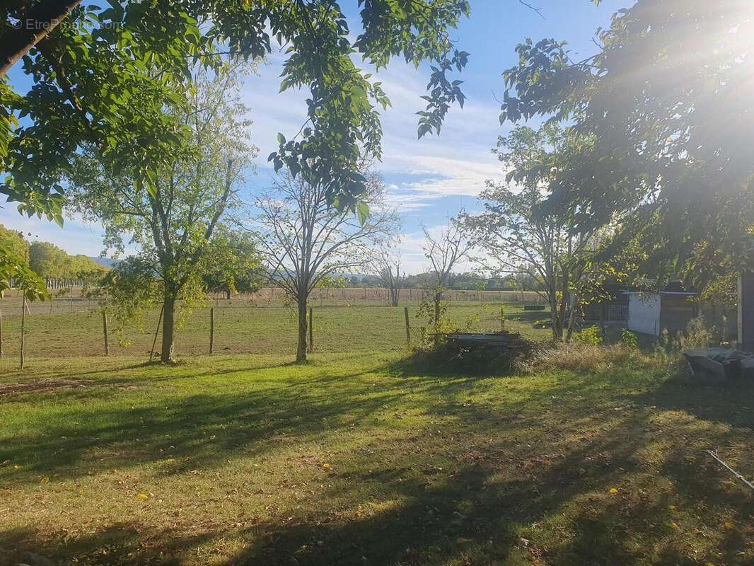 Photo 6 - Maison à REVEL