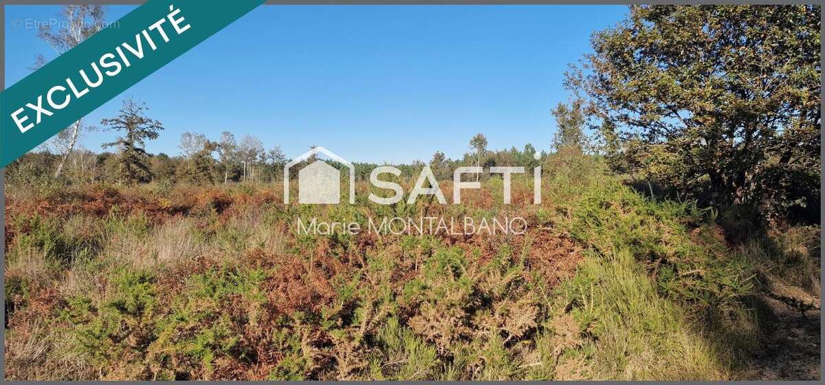 Photo 3 - Terrain à BIGANOS