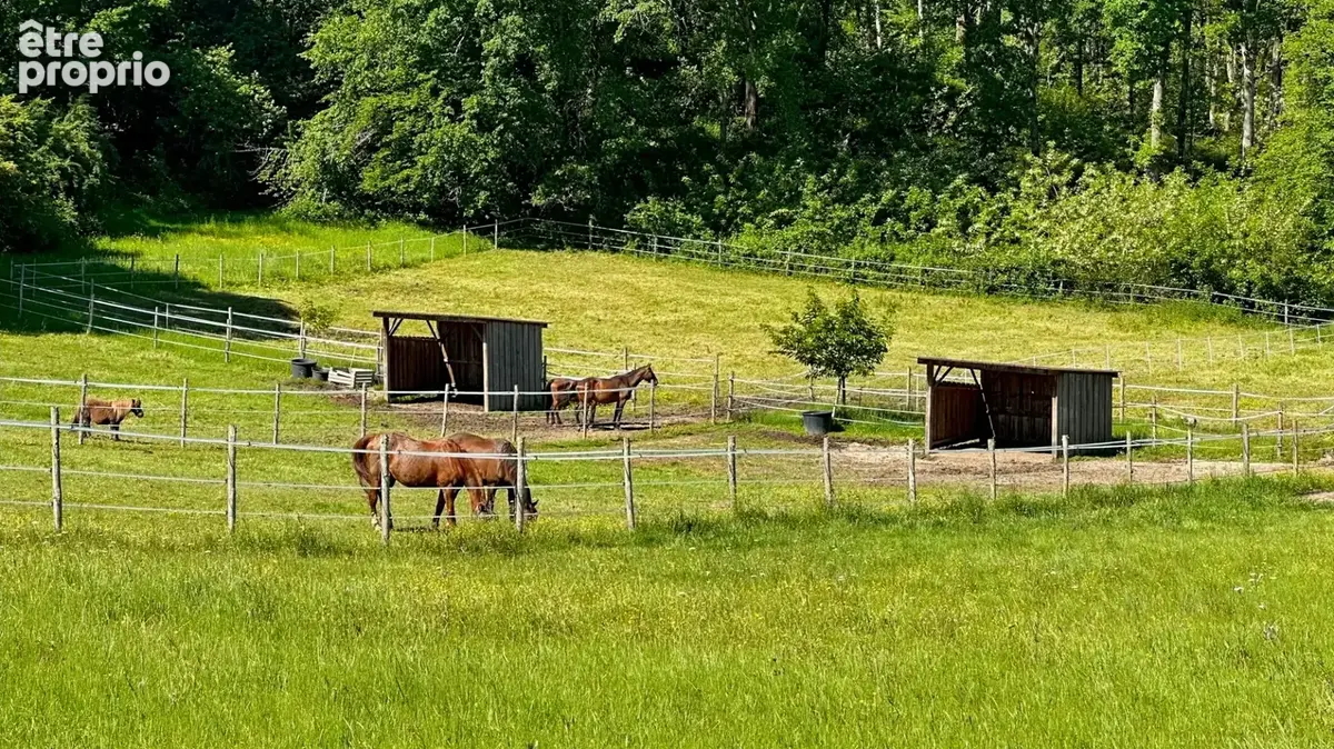 Dpt Dordogne (24), à vendre BERGERAC propriété P7 - terrain de 87000 m2 - photo 37