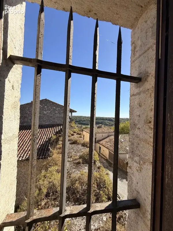 château d'exception au cœur d'un village historique - photo 30