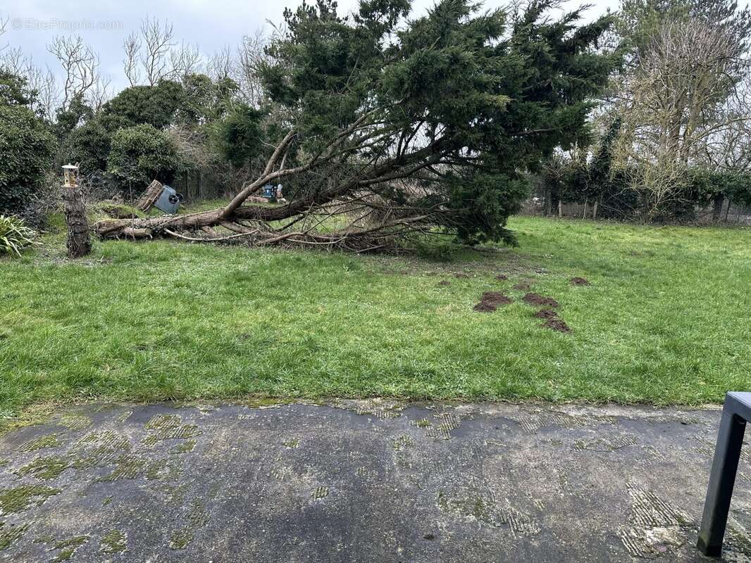 Maison à CAYEUX-SUR-MER