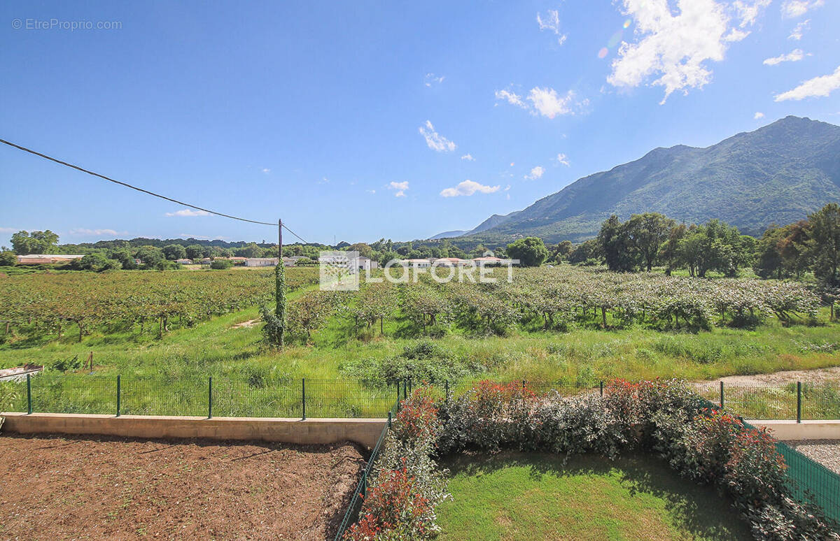 Appartement à SAN-NICOLAO