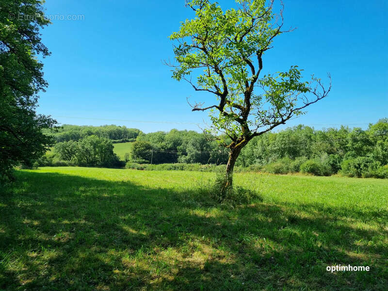 Terrain à CRESSENSAC
