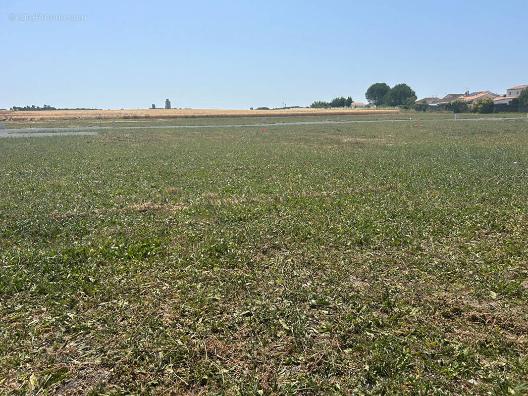 Terrain à MORNAC-SUR-SEUDRE