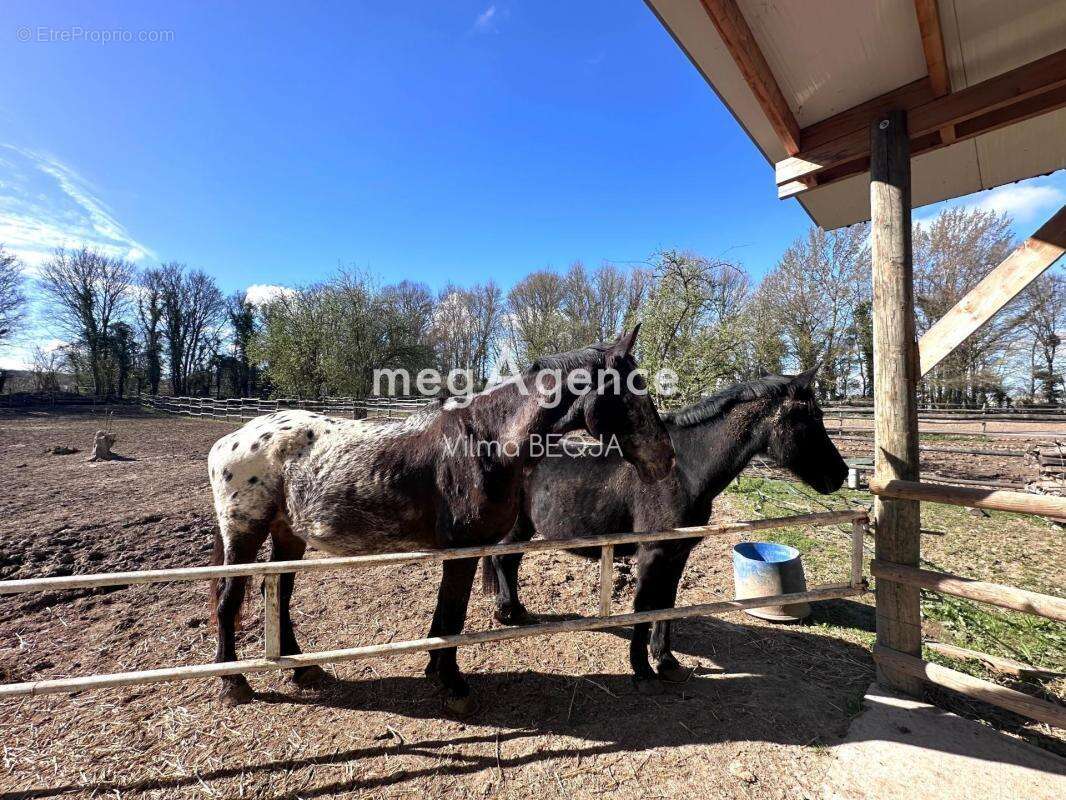 Maison à THORIGNY-SUR-OREUSE