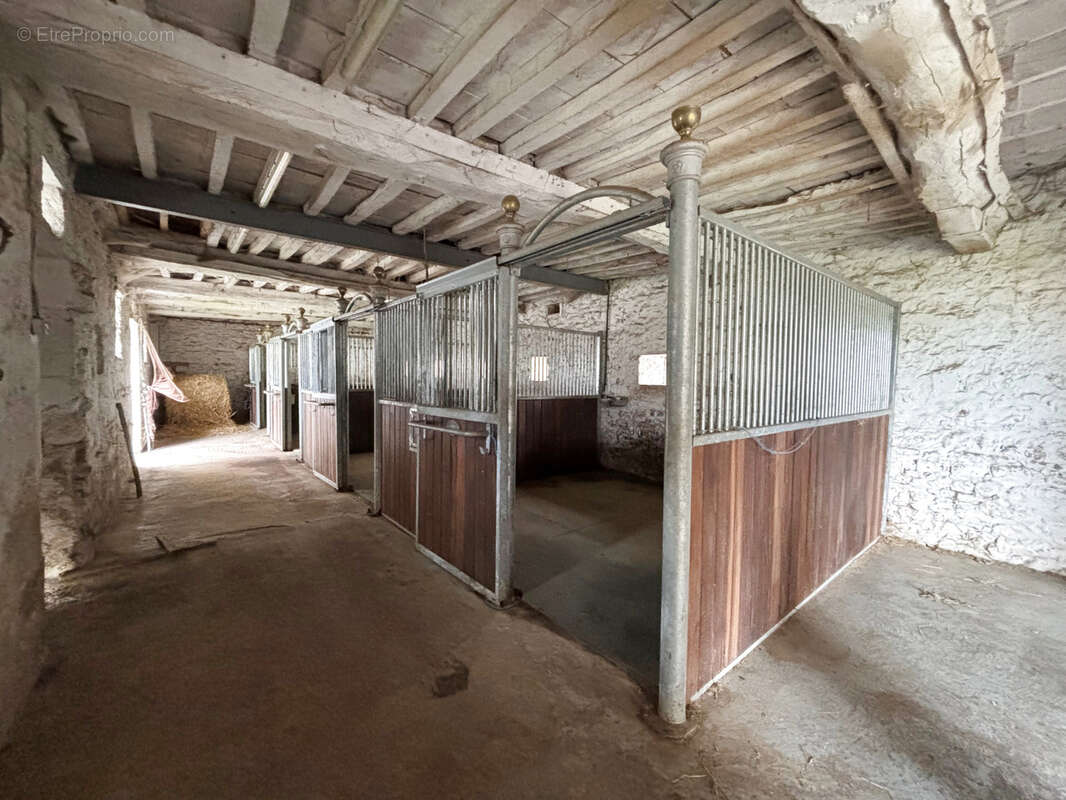 Maison 6 pièces - 233m2 avec dépendances AURSEULLES - photo 27