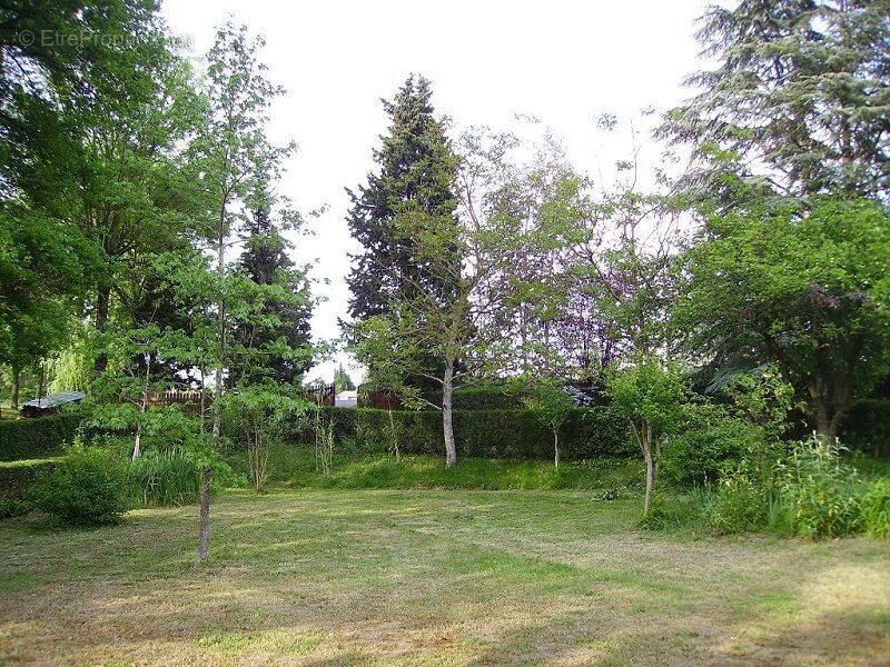 Terrain à BRUGUIERES