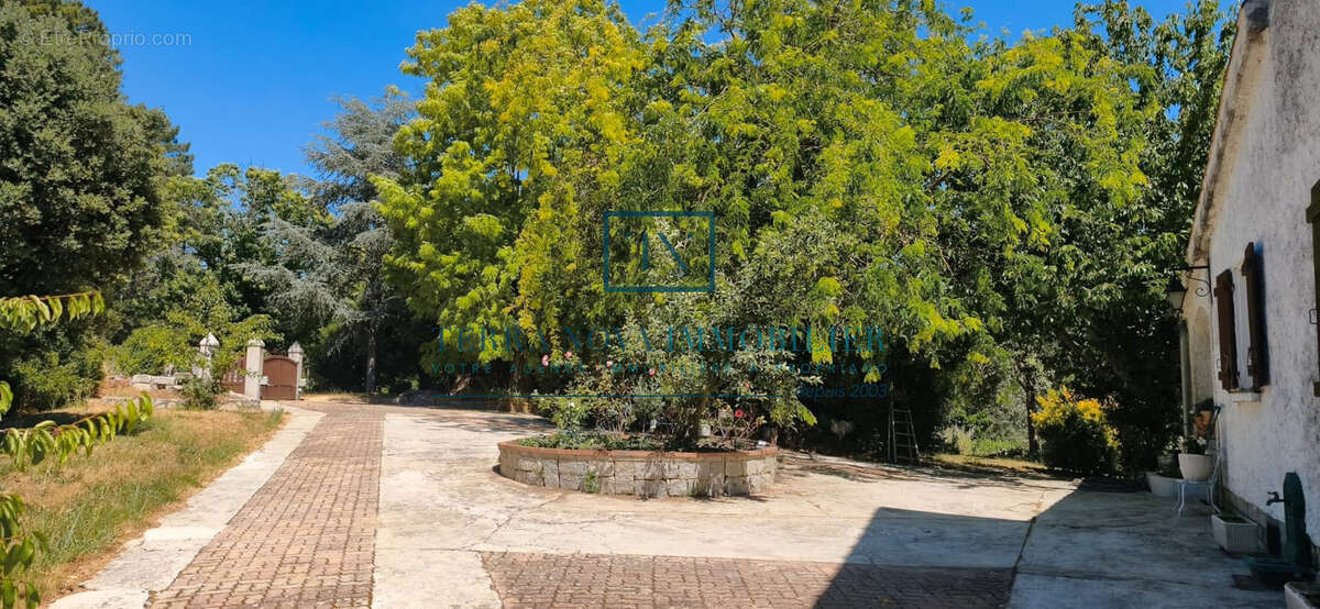 Propriété au cœur de l'Alta Rocca - photo 11