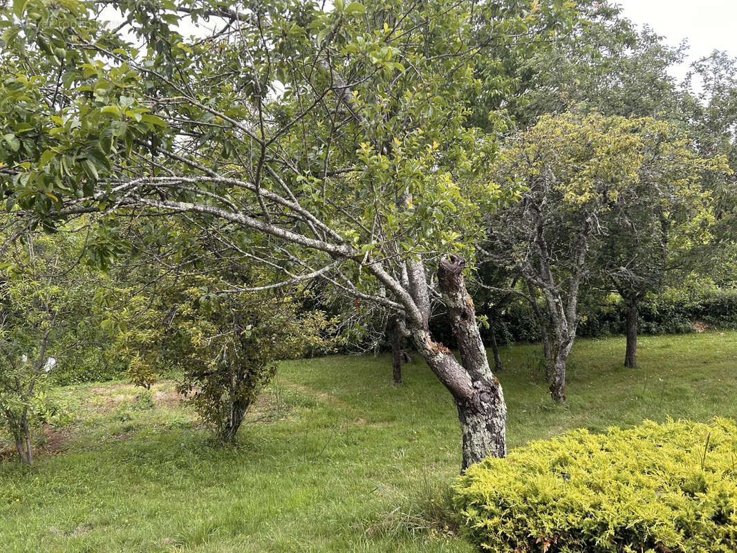 Maison à SACIERGES-SAINT-MARTIN