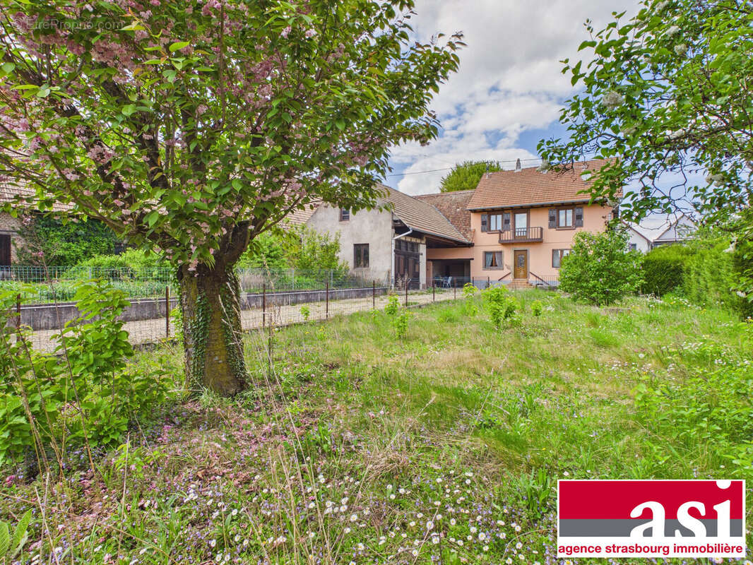 Maison à WINGERSHEIM