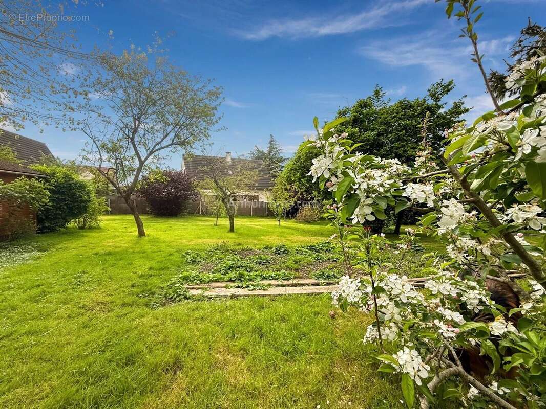 Terrain à MONTEVRAIN