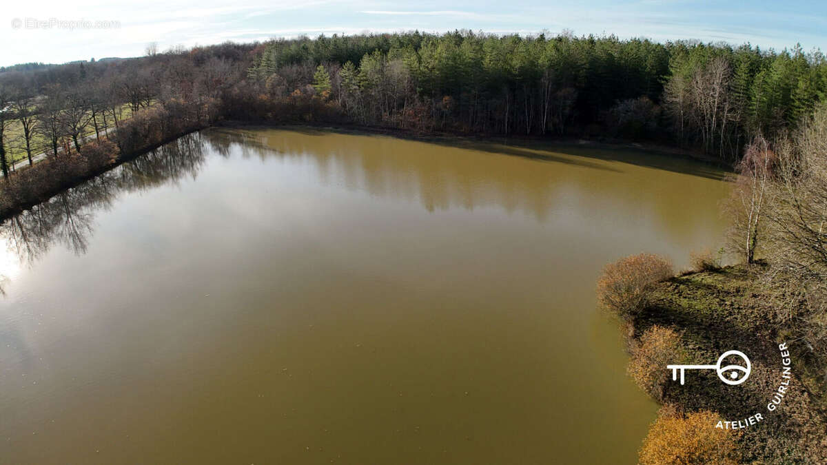 Terrain à NEUNG-SUR-BEUVRON
