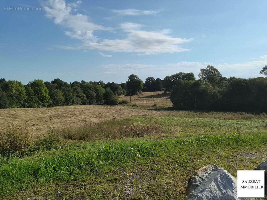 Terrain à MAGNAC-BOURG