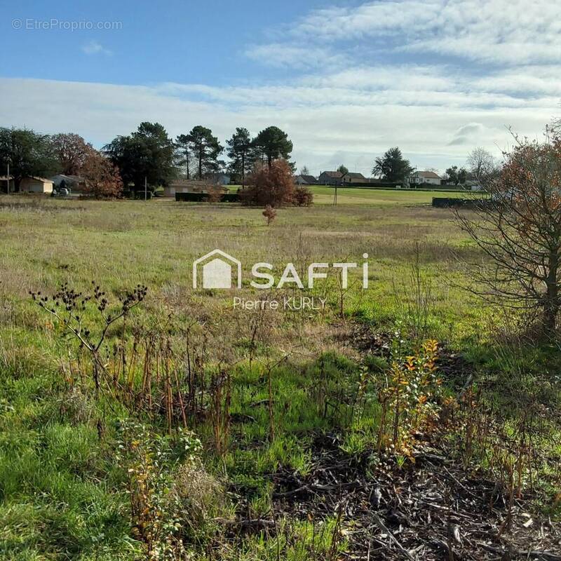 Photo 1 - Terrain à SAINT-MEDARD-DE-MUSSIDAN