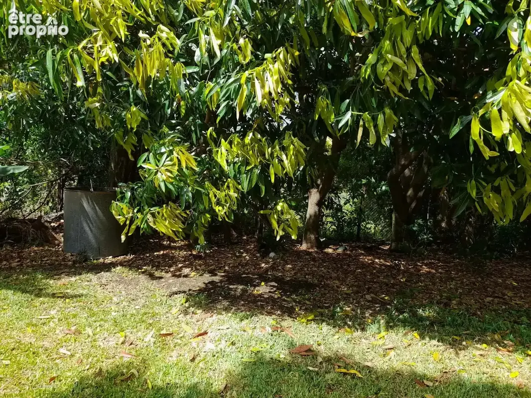 Photo Terrain à Saint-Pierre au prix de 148 000€