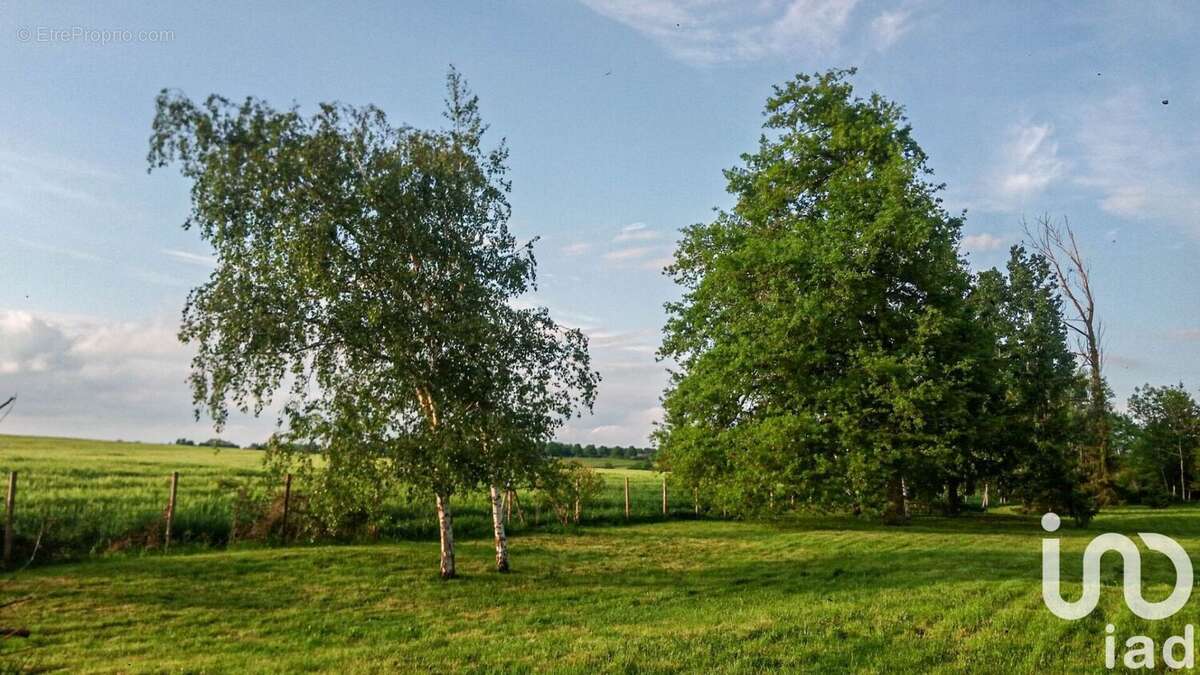 Photo 2 - Terrain à MAULETTE