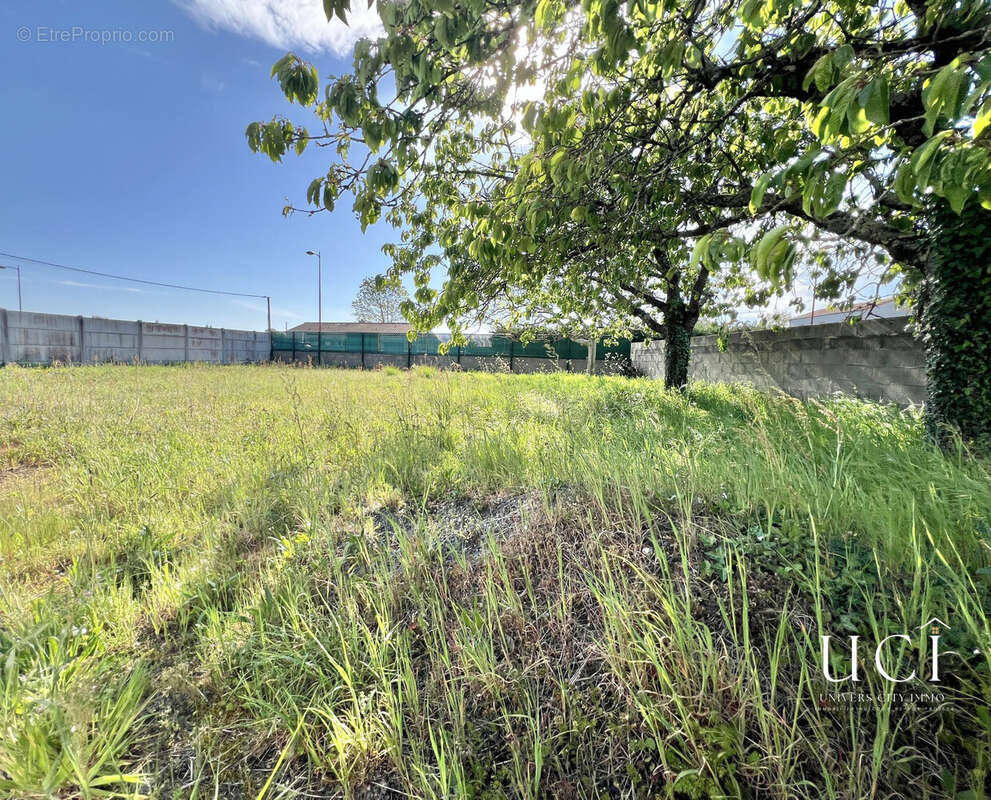 Commerce 370 m² à Geneston  - photo 8