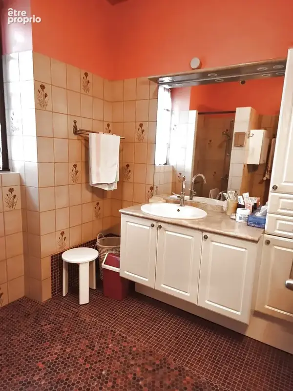 Maison de caractère sur parc de 9700m2 - photo 14