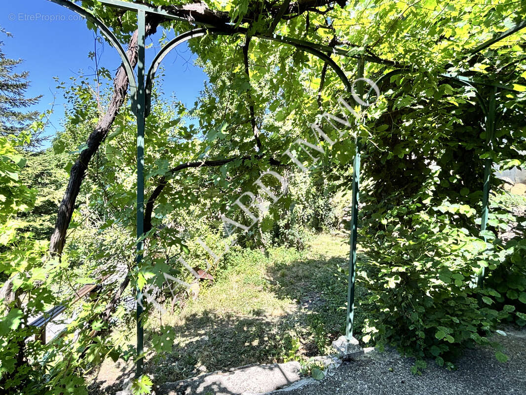 Venterol, maison 163 m2 + grages, caves et jardin. - photo 36