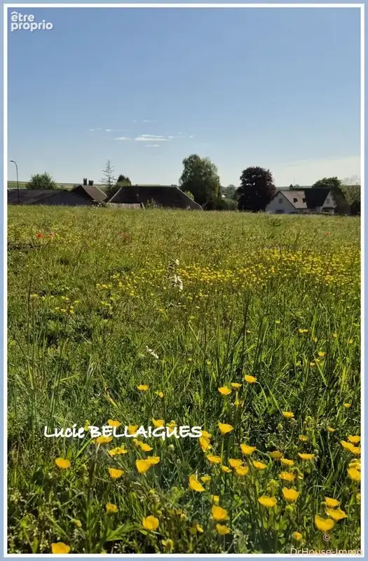 Terrain 2 742 m² à vendre à Onjon (10220) - photo 54