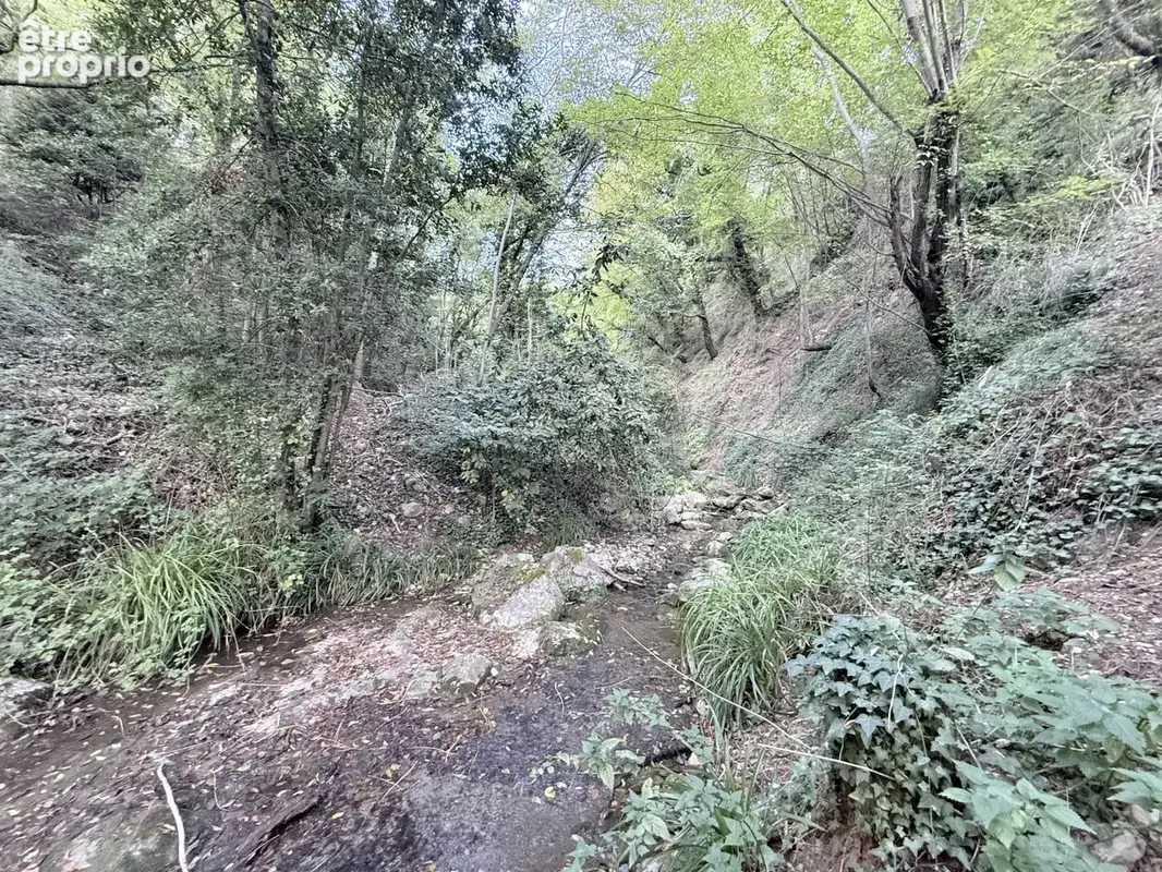 Vaste propriété de plus d’un hectare, entre oliviers centenaires et arbres fruitiers - photo 8