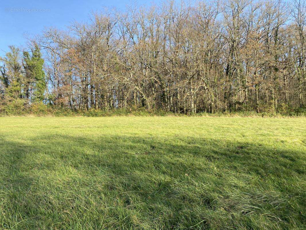 Terrain à NOTRE-DAME-DE-SANILHAC