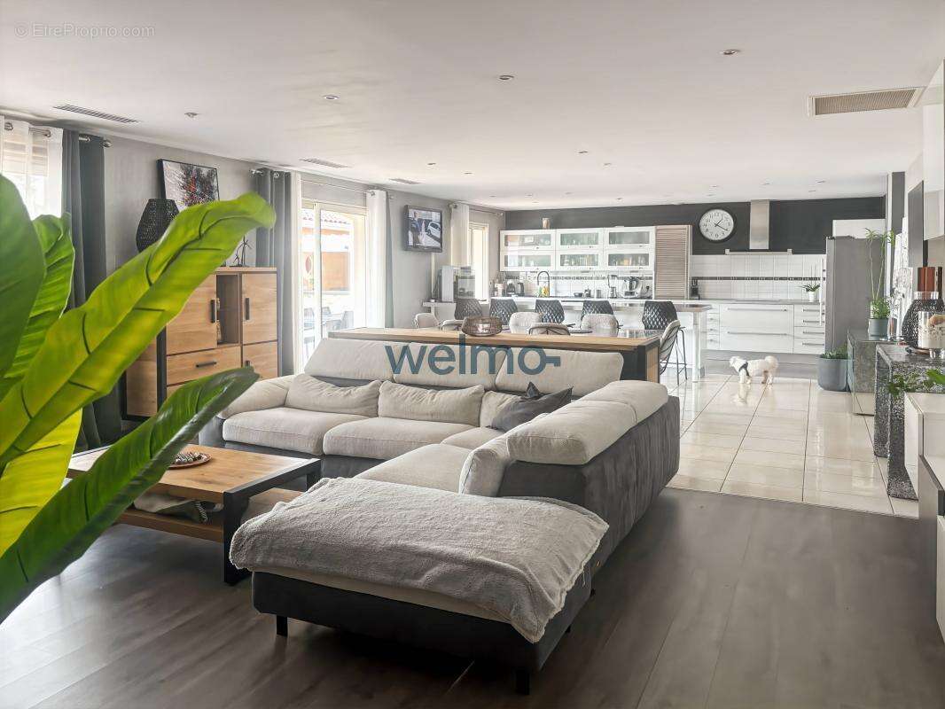 Maison à PALLEVILLE