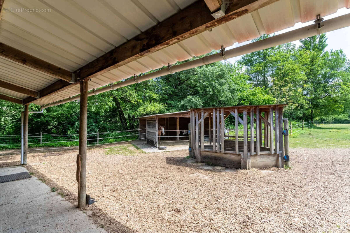 Propriete equestre - photo 9