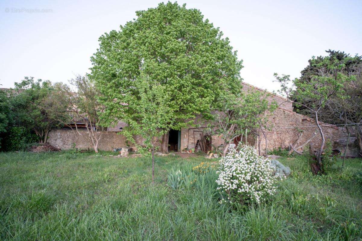 Maison à LAURE-MINERVOIS