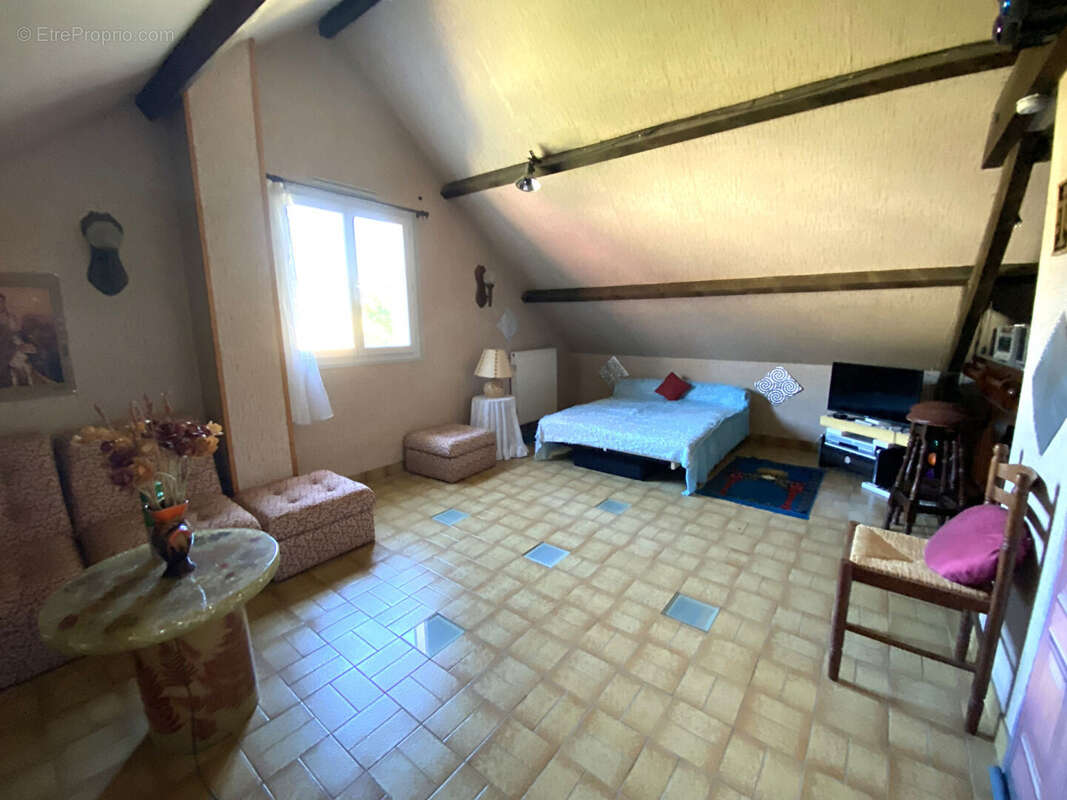 Maison 10 minutes Joigny entre Sens et Auxerre 5 chambres sur la commune de St Aubin Sur Yonne, maison de 133m - photo 9