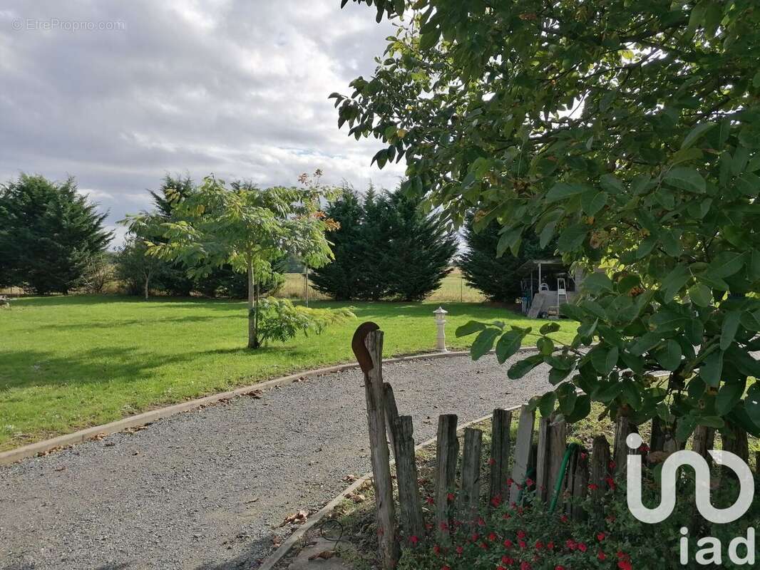 Photo 6 - Maison à CHINON