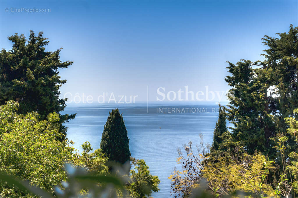 Villa historique, vue panoramique Monaco, jardin luxuriant à Roquebrune-Cap-Martin - photo 20