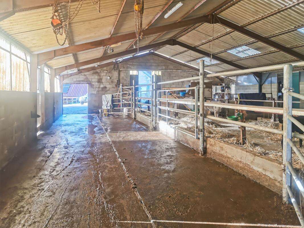 Maison à FAVERDINES