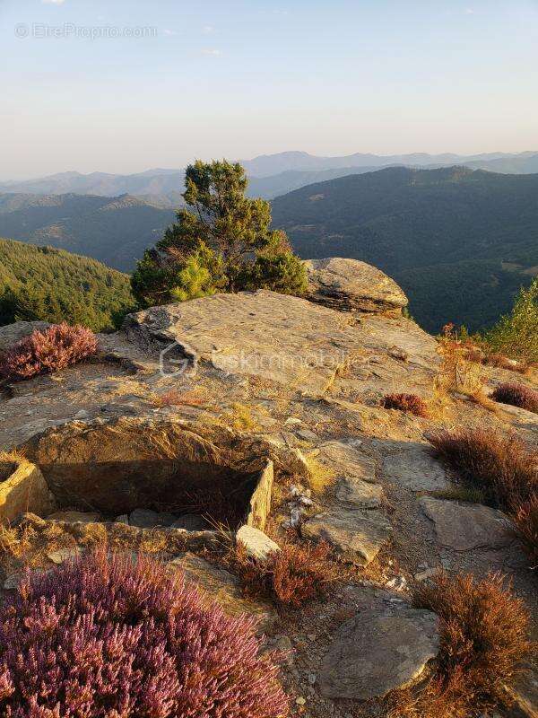 Maison à SAINT-GERMAIN-DE-CALBERTE