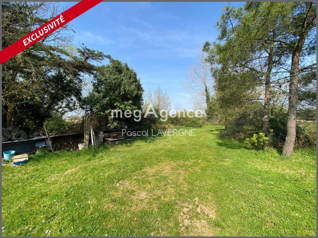 Maison à SAINT-HILAIRE-DE-RIEZ