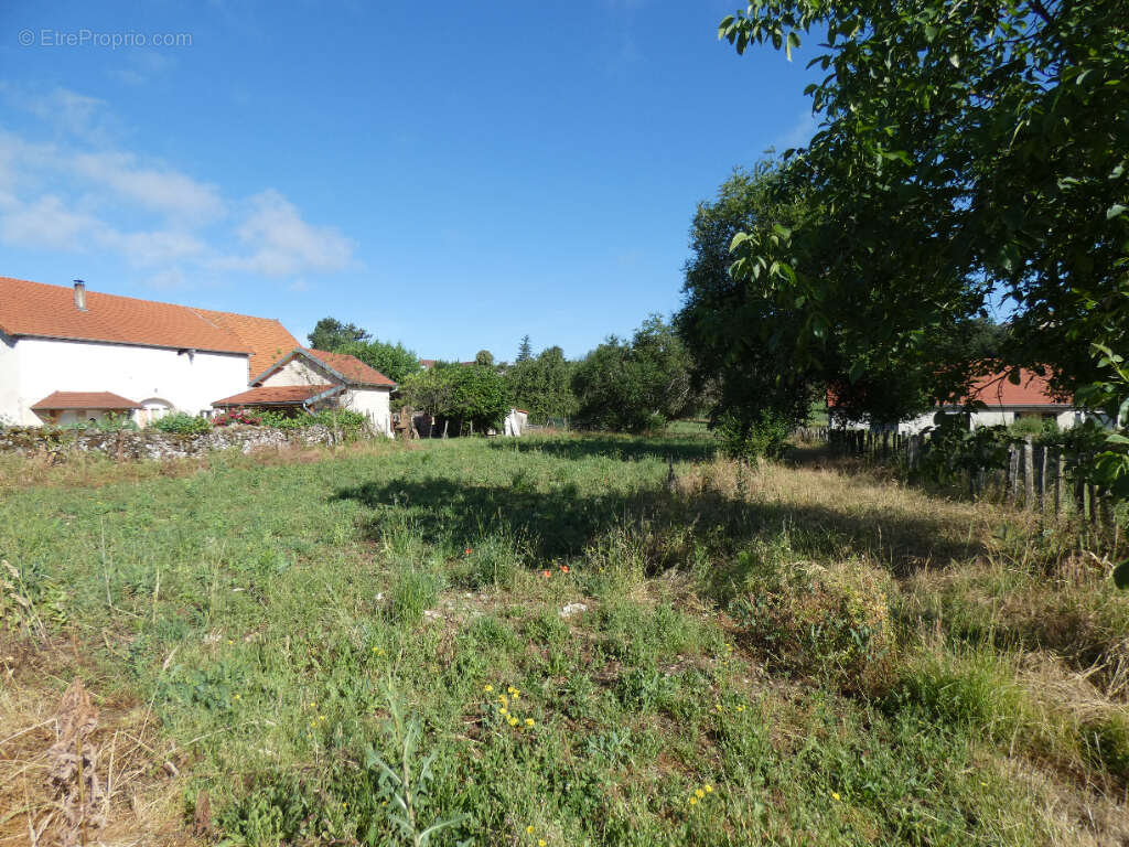 Terrain à RECOLOGNE-LES-RIOZ