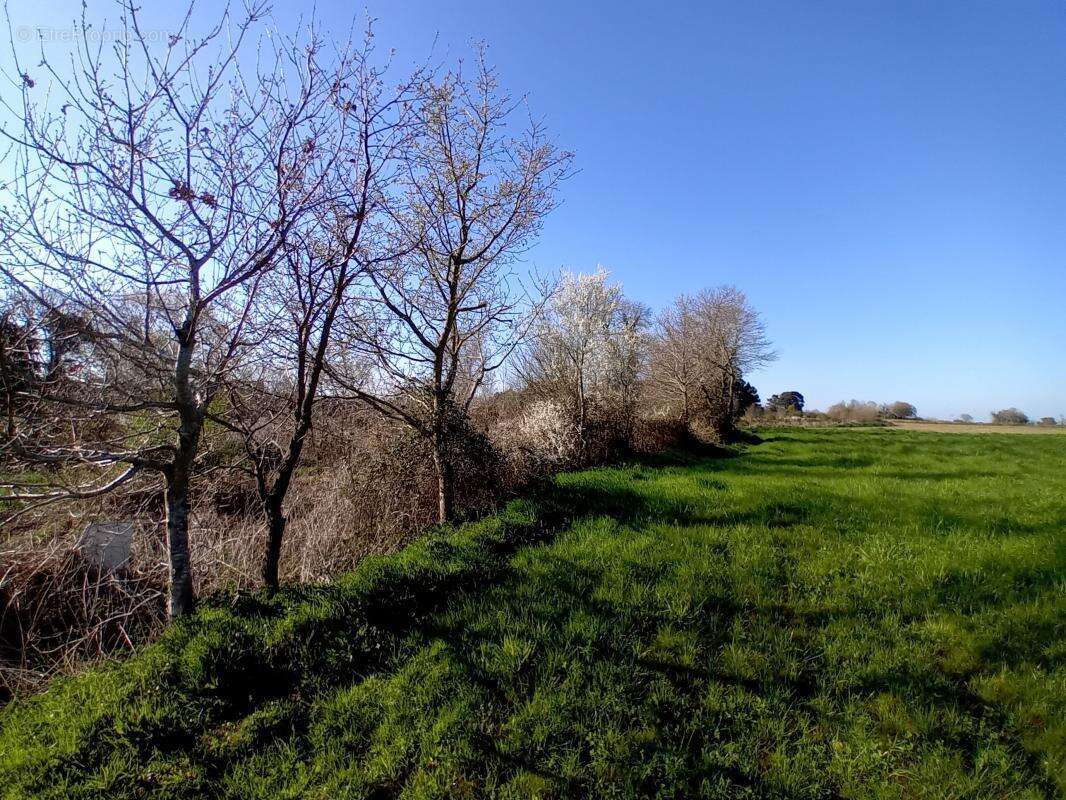 Maison à PLESTIN-LES-GREVES